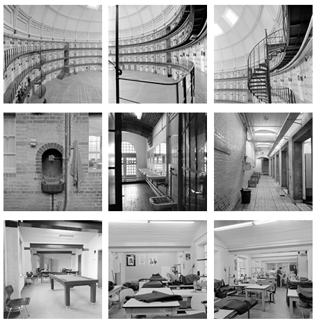 Tesis-Elena-Martinez-Millana